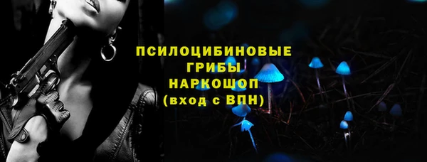 mdpv Бородино