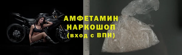 mdpv Бородино