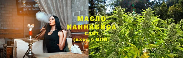 mdpv Бородино