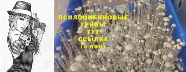 mdpv Бородино