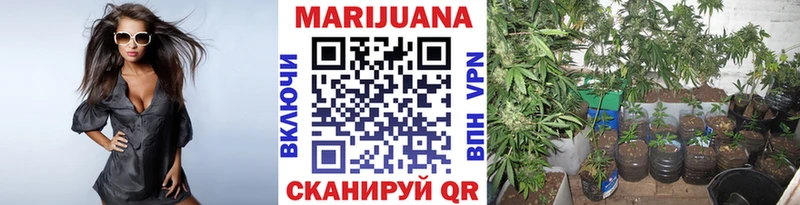 даркнет сайт  Карачаевск  Канабис марихуана 